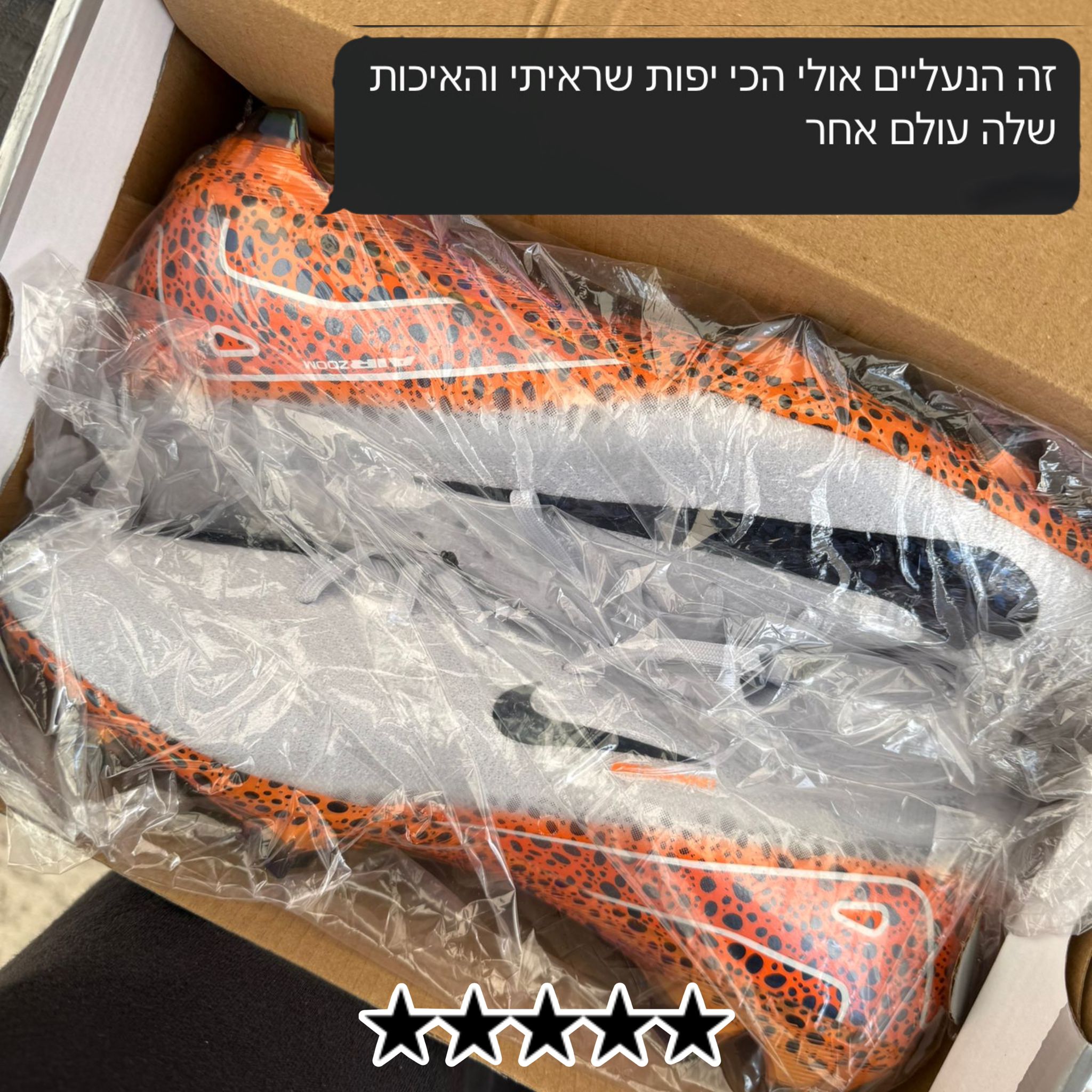 PHOTO-2025-08-31-20-00-36 (1)