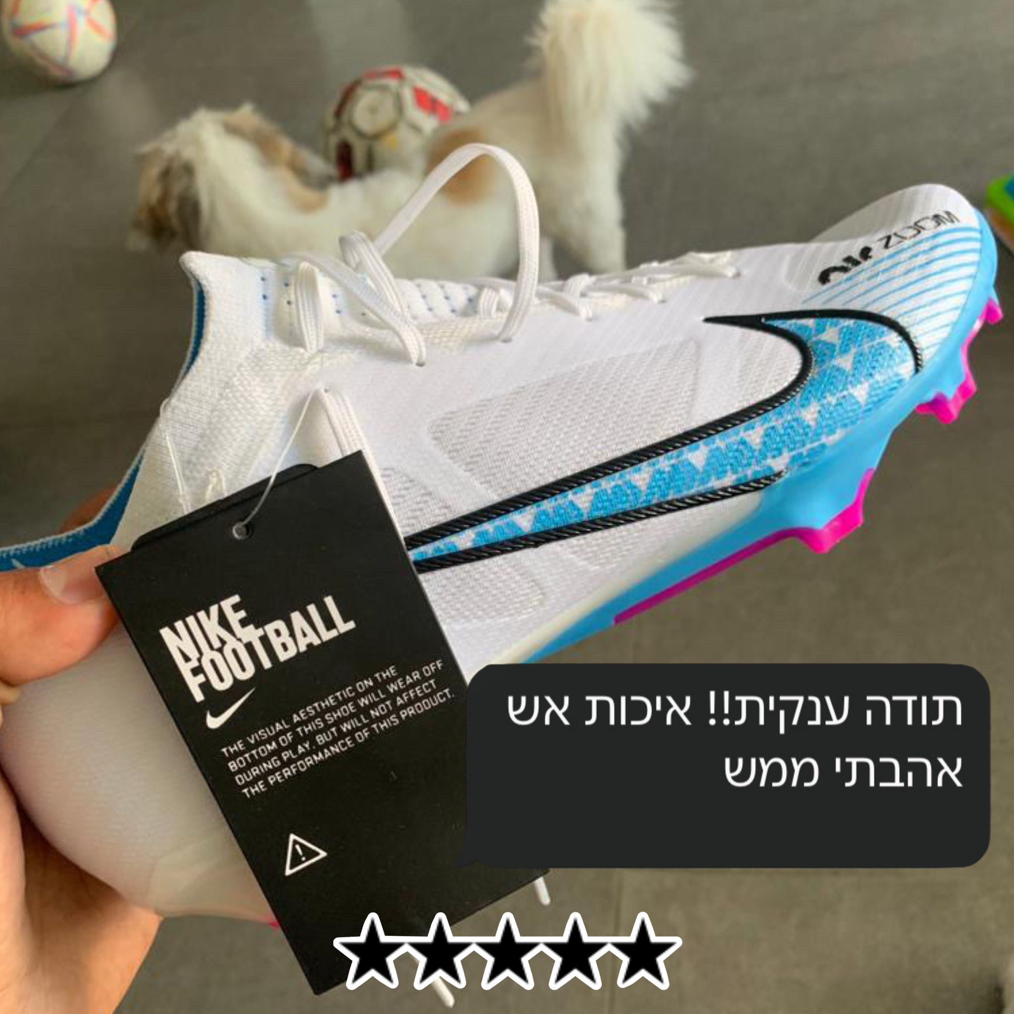 PHOTO-2025-08-31-20-00-39